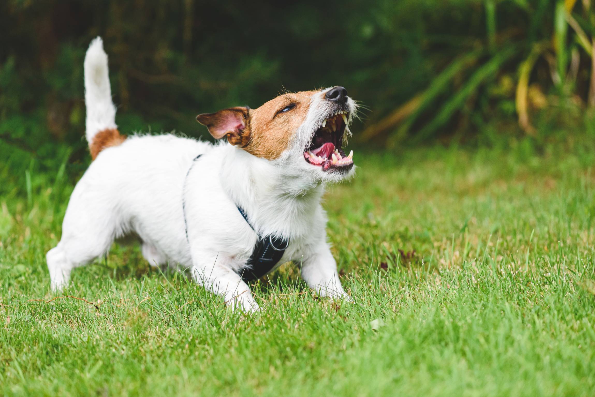 AdobeStock_490744617-min AdobeStock_490744617-min